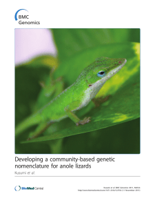 Developing a community-based genetic nomenclature for anole lizards Kusumi et al.
