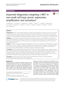 Improved diagnostics targeting c-MET in non-small cell lung cancer: expression,