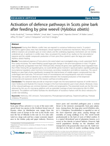 Activation of defence pathways in Scots pine bark Hylobius abietis)