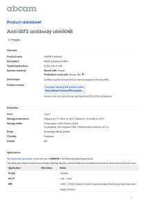 Anti-IRF2 antibody ab65048 Product datasheet 2 Images