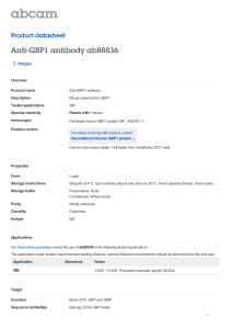 Anti-GBP1 antibody ab88836 Product datasheet 2 Images