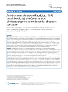 Amblyomma cajennense (Acari: Ixodidae), the Cayenne tick: phylogeography and evidence for allopatric speciation