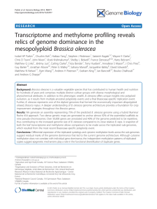 Transcriptome and methylome profiling reveals relics of genome dominance in the