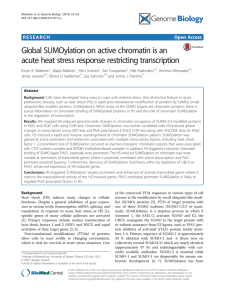 Global SUMOylation on active chromatin is an Open Access