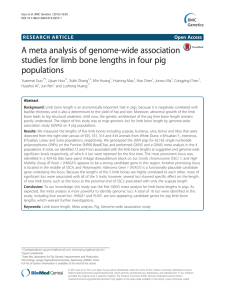 A meta analysis of genome-wide association populations