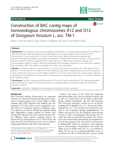 Construction of BAC contig maps of homoeologous chromosomes A12 and D12
