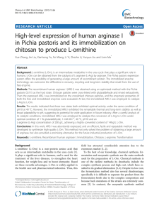 High-level expression of human arginase I chitosan to produce L-ornithine