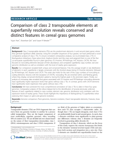 Comparison of class 2 transposable elements at