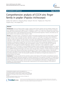 Comprehensive analysis of CCCH zinc finger family in poplar (Populus trichocarpa)