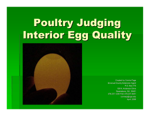 Poultry Judging Interior Egg Quality