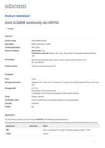 Anti-IL36RN antibody ab105743 Product datasheet 1 Image