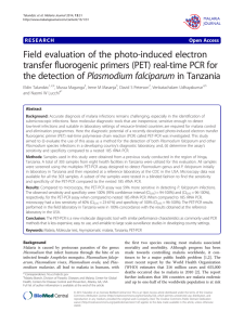 Field evaluation of the photo-induced electron