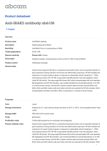 Anti-IRAK2 antibody ab6158 Product datasheet 3 Images Overview