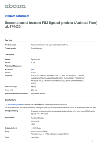 Recombinant human Flt3 ligand protein (Animal Free)