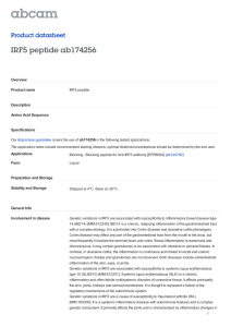 IRF5 peptide ab174256 Product datasheet Overview Product name