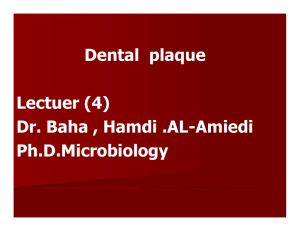 Dental  plaque Lectuer (4) Dr. Baha , Hamdi .AL-Amiedi Ph.D.Microbiology