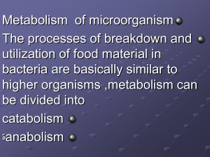 Metabolism  of microorganism The processes of breakdown and