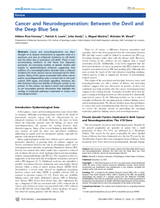 Cancer and Neurodegeneration: Between the Devil and the Deep Blue Sea Review