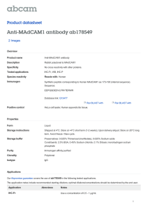 Anti-MAdCAM1 antibody ab178549 Product datasheet 2 Images Overview
