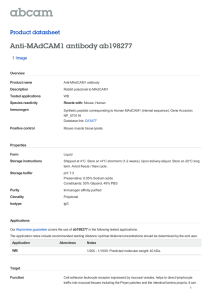 Anti-MAdCAM1 antibody ab198277 Product datasheet 1 Image Overview