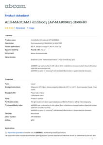 Anti-MAdCAM1 antibody [AP-MAB0842] ab80680 Product datasheet 1 Abreviews 1 Image
