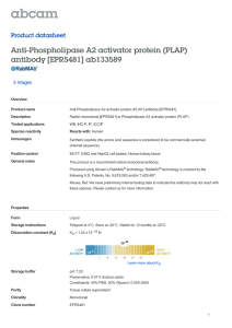 Anti-Phospholipase A2 activator protein (PLAP) antibody [EPR5481] ab133589