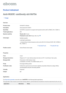 Anti-NLRX1 antibody ab106756 Product datasheet 1 Image Overview
