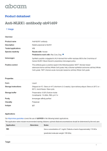 Anti-NLRX1 antibody ab91659 Product datasheet 1 Image