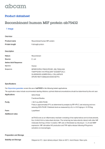 Recombinant human MIF protein ab75432 Product datasheet 1 Image Overview