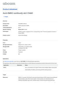 Anti-EMR3 antibody ab115460 Product datasheet 1 Image Overview