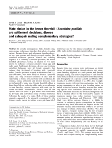 Mate choice in the brown thornbill ( Acanthiza pusilla):