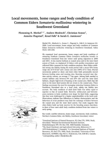 Local movements, home ranges and body condition of Somateria mollissima Southwest Greenland