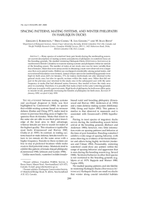 SPACING PATTERNS, MATING SYSTEMS, AND WINTER PHILOPATRY IN HARLEQUIN DUCKS G J. R