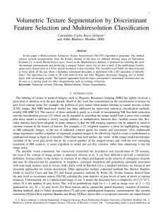 Volumetric Texture Segmentation by Discriminant Feature Selection and Multiresolution Classification