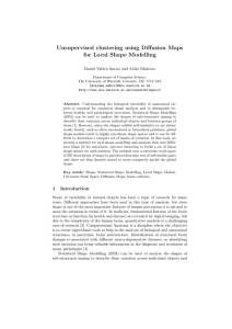 Unsupervised clustering using Diffusion Maps for Local Shape Modelling