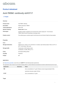 Anti-TREM1 antibody ab93717 Product datasheet 2 Images Overview