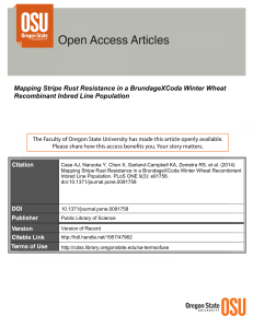 Mapping Stripe Rust Resistance in a BrundageXCoda Winter Wheat