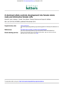 A dominant allele controls development into female mimic