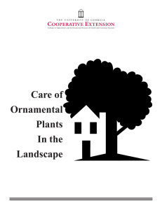 Care of Ornamental Plants In the
