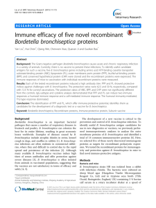 Immune efficacy of five novel recombinant Bordetella bronchiseptica proteins Open Access