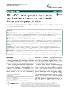 PEP-1-SOD1 fusion proteins block cardiac myofibroblast activation and angiotensin II-induced collagen production