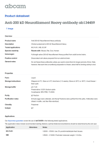 Anti-200 kD Neurofilament Heavy antibody ab134459 Product datasheet 1 Image Overview