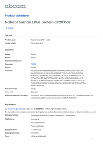 Natural human LRG1 protein ab203532 Product datasheet 1 Image Overview