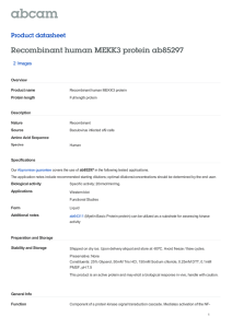 Recombinant human MEKK3 protein ab85297 Product datasheet 2 Images Overview