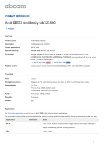 Anti-SIKE1 antibody ab121860 Product datasheet 3 Images Overview