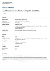 Anti-Ribonuclease 7 antibody [3C2] ab189222 Product datasheet 1 Image Overview