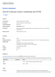 Anti-PI 3 Kinase Class 3 antibody ab137784 Product datasheet 2 Images Overview