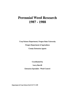Perennial Weed Research 1988 1987 -