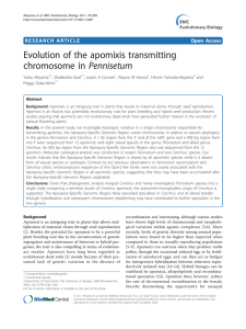 Evolution of the apomixis transmitting chromosome in Pennisetum Open Access