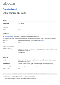CCR7 peptide ab116167 Product datasheet Overview Product name